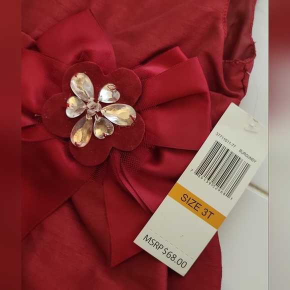 New Lilly bird Burgundy Rhinestone flower dress size 3T - Picture 4 of 5